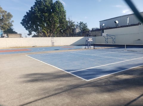 Outdoor basketball court with blue surface, hoop and backboard, bordered by cream wall and trees under clear sky