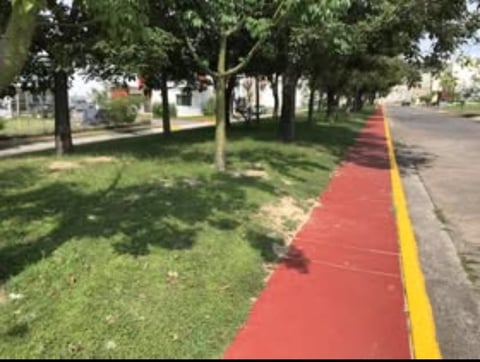 Red paved path with yellow line running alongside green grass and mature trees in a residential street